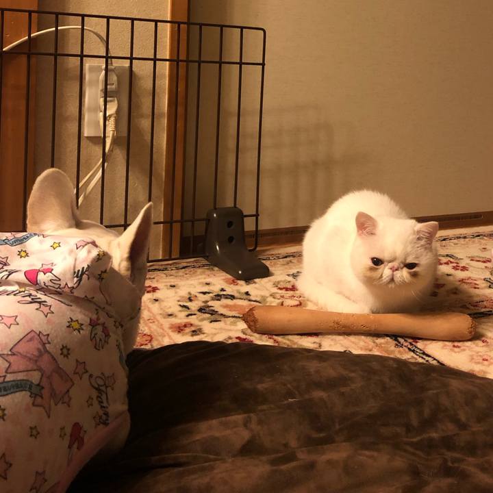 54aff9af 479b 497e b5d1 e414f287e97d 1552819311253