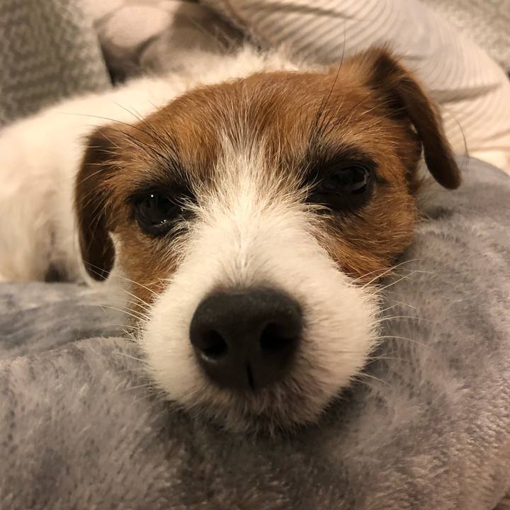 54b0064d fcbf 4b09 8a0f a361cb349831 1610542374229