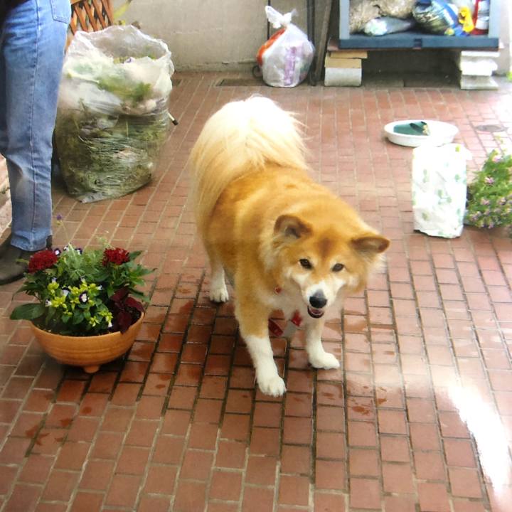 54b01803 7ea1 4d02 8b21 dc17dff2e784 1521191018100