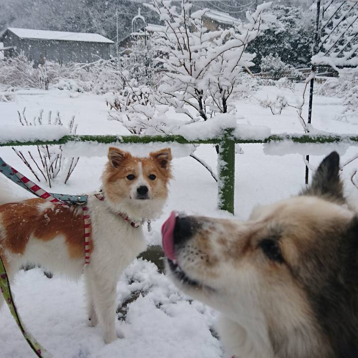 54b03bf6 4c81 4ae7 8b1a bb5b89f1956e 1516627513513