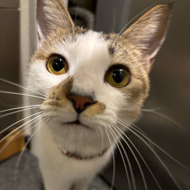 54b03fac a147 4ab2 8e3a 60dcbdee851e 1768576397941