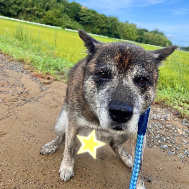 54b07d47 0ad0 4832 91a7 621521d38105 1660690191944