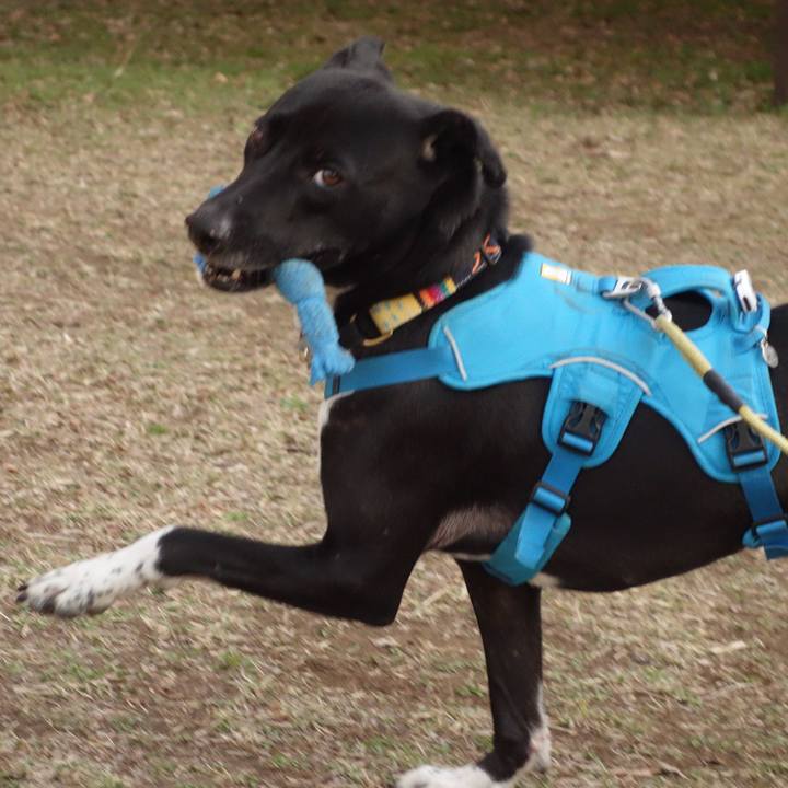 54b087b8 835f 4472 a329 3ee0bf42253f 1614386510733