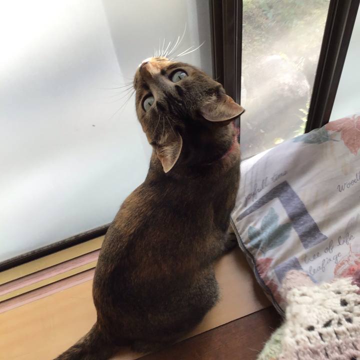 54b0d8bc 8ff7 43aa aa31 60740c786a59 1607217330706