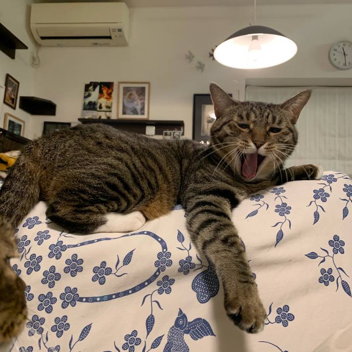 54b0f3e6 4104 4057 90a7 c84058ef4f0a 1761492532304