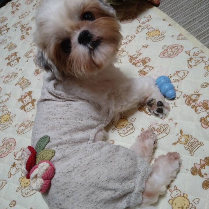 54b10355 7a63 4b9a 9b10 714d9f1b2fea 1601172946830