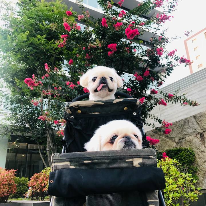 54b12c37 61ac 45ee 9b39 7efd3f406440 1628240497459