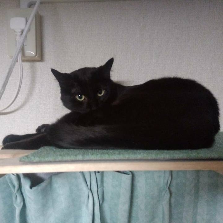 54b1428b 7d17 4b63 8a6d 7c0d79cc171d 1573738103021