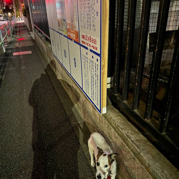 54b16d5c 2129 4099 81dc 02302c00255a 1770716180901