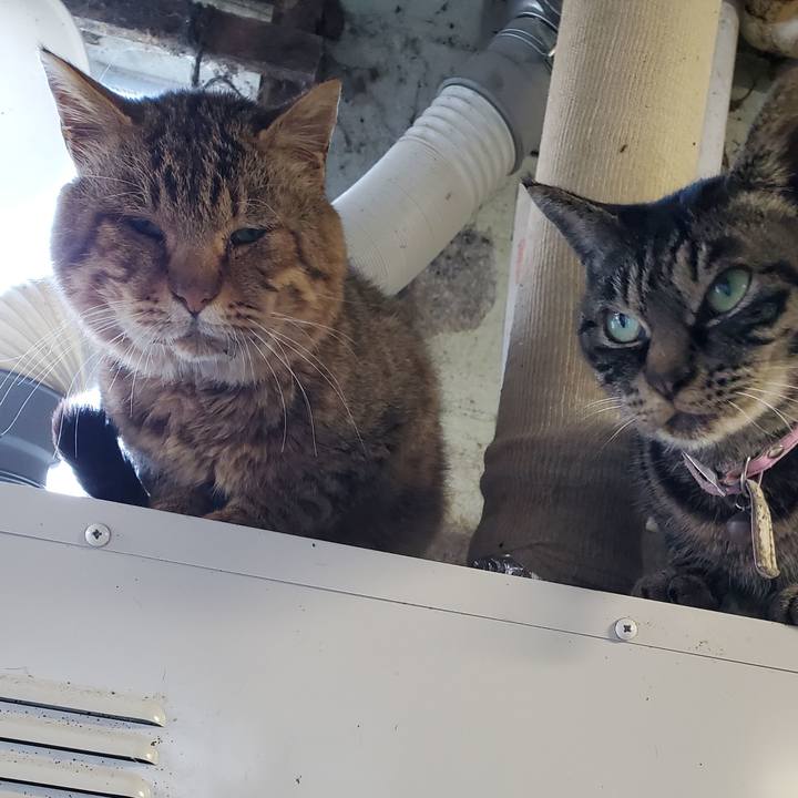 54b1d53d 4c7c 4d6a bafc aa3fc2210ab6 1700057206067