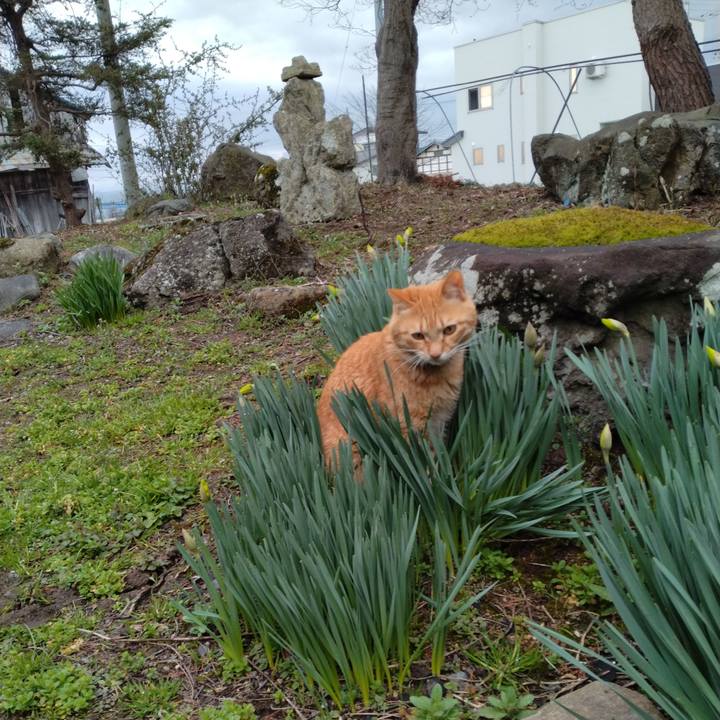 54b1dddd 4ab7 4e70 b7a3 f66b672a9903 1680907028557