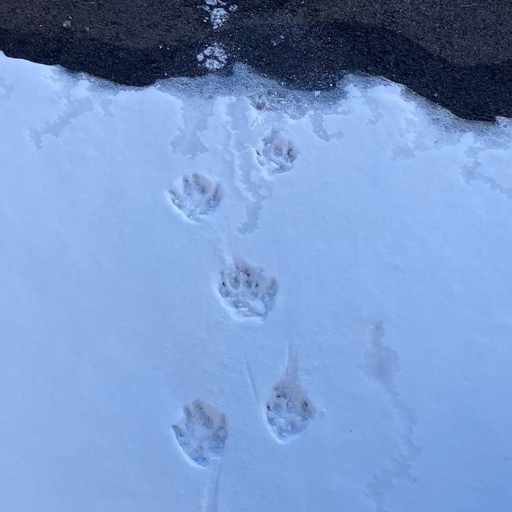 54b215df dc50 45c8 a51a 5d9a5720ca34 1675047129328