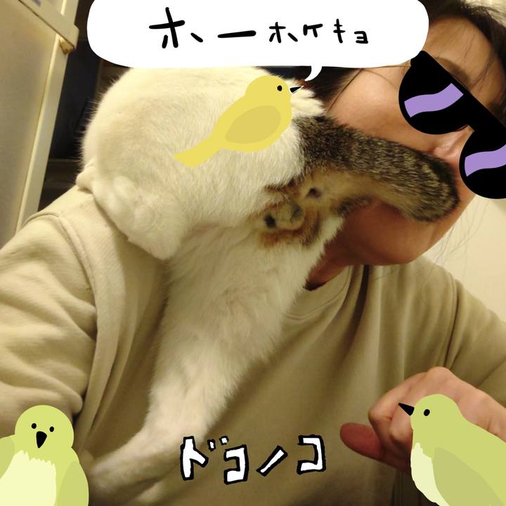 54b22238 fd60 4dd5 8fce 67a73c04e7e2 1711027676549