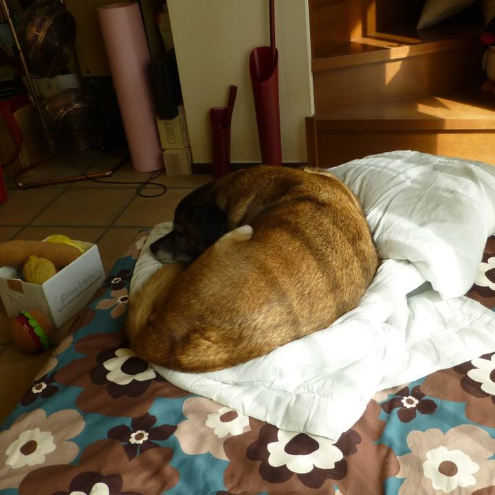 54b22a26 ac0e 428e 9b78 b792b6d3b01d 1581330914026