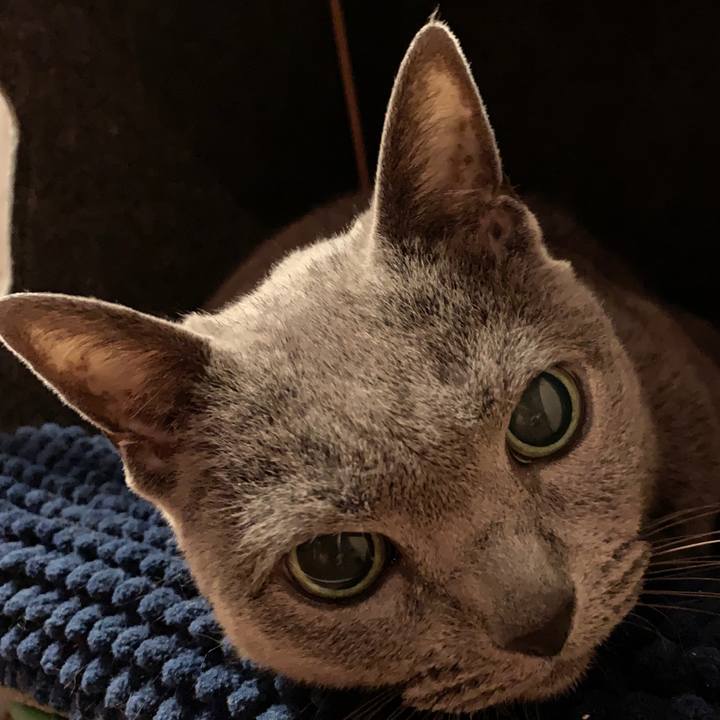 54b24158 04f0 4382 abbb 89df0fec99cc 1550786479553