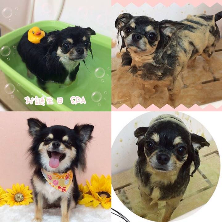 54b2848d 202e 439a 985a b1fb4c49abee 1571956428417