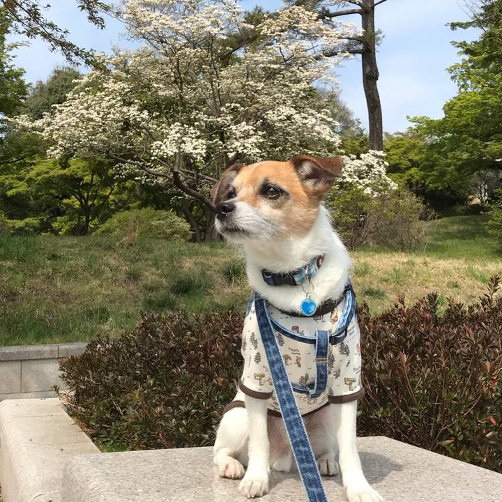 54b296d4 1d3b 45c6 baa6 7cd70cb814a2 1555649137348