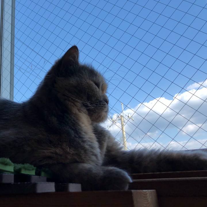 54b2cd82 2916 4deb a146 9ac02dc3bfd6 1666524725393