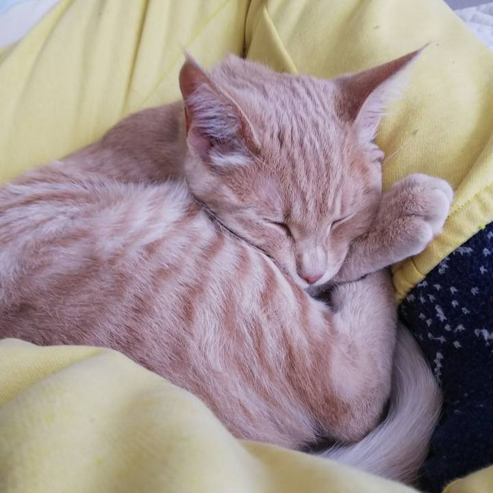 54b2d5f5 68c9 4f0c 8799 fc62796582a7 1546218499624