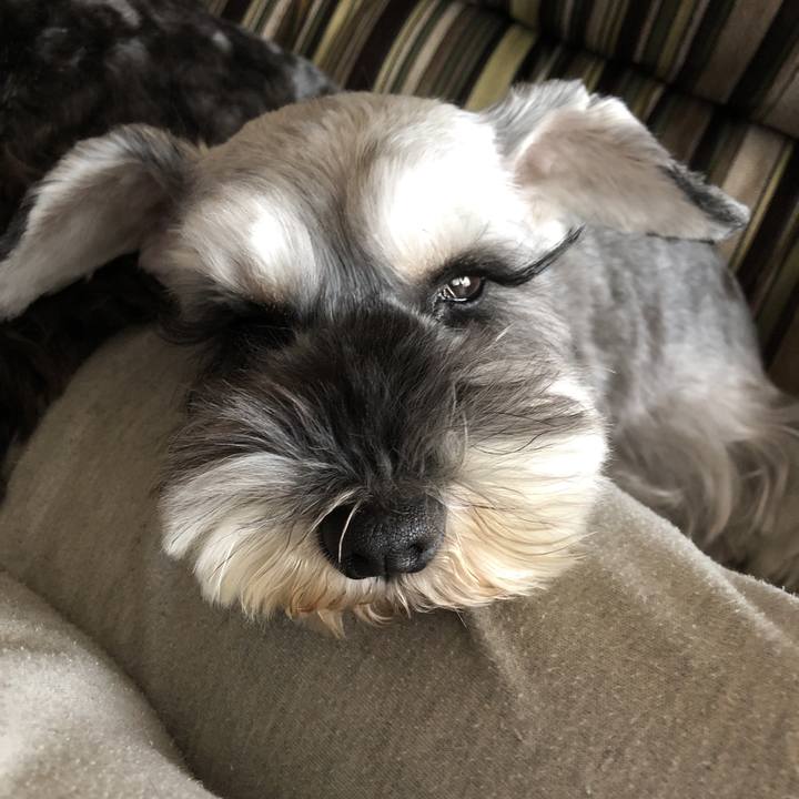 54b2db97 f7d8 47da b377 7b526378abe0 1584835304994