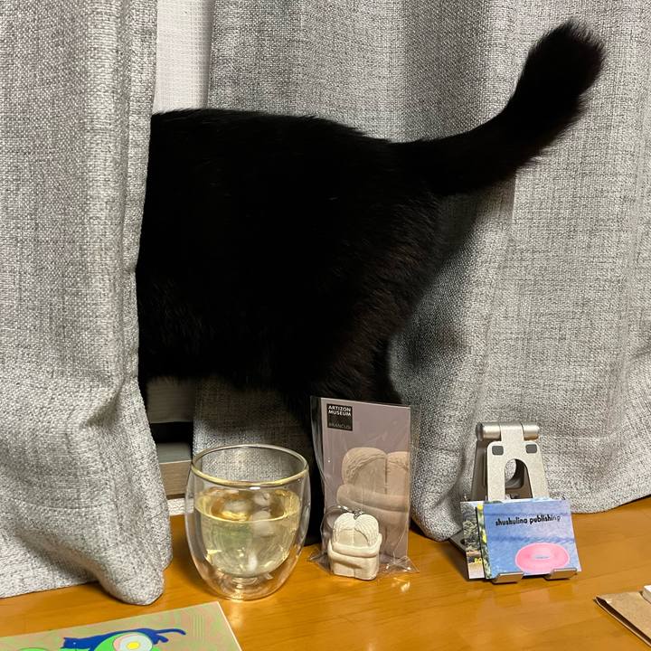 54b319c4 643b 4c23 a9a6 bf2fca821100 1721910729179