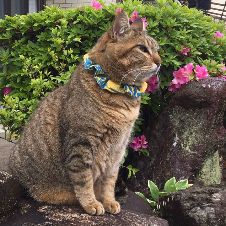 54b366ee 2f2b 4efa 8d89 27d14decfaa4 1588556699268