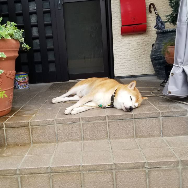 54b3c271 e3ba 4aa2 8e7e 826188415cb6 1629507228697