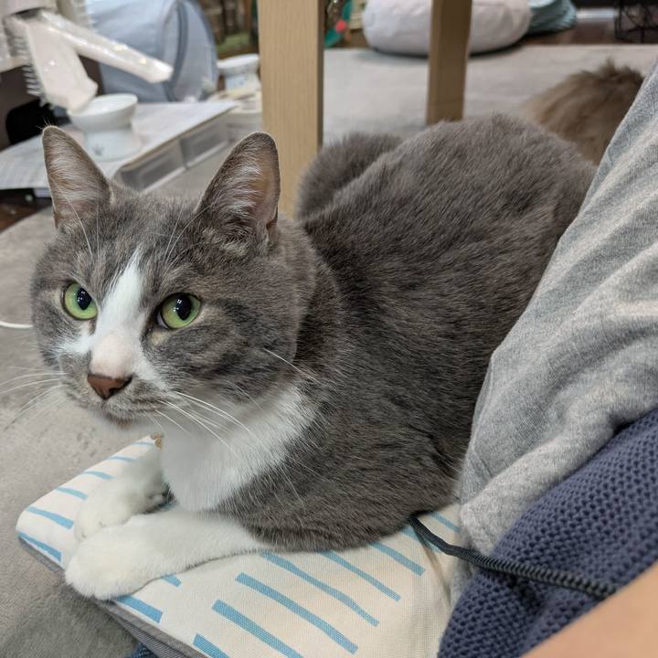 54b3c334 46c7 45ea b5a4 ad69e40cfb01 1746183312327