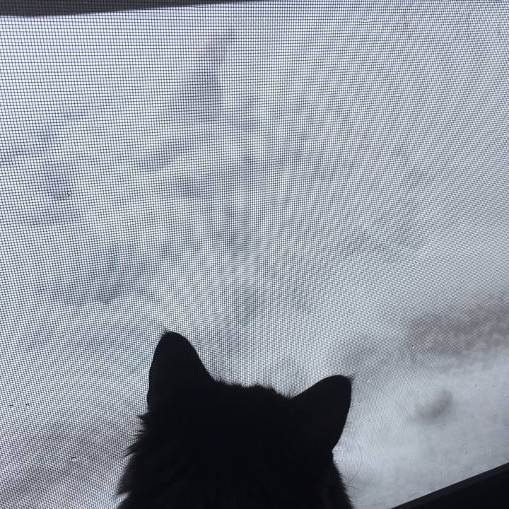 54b3f8e4 16e3 4265 9700 527b61af0d22 1519953204878