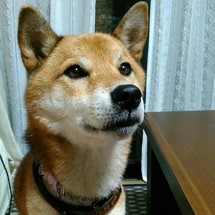 54b477d7 c9cd 467d 9db1 26e7e94bce64 1537185081383