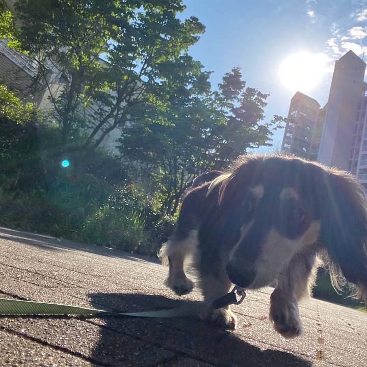 54b53419 6854 4e86 b360 1beeac86ab57 1749088412752