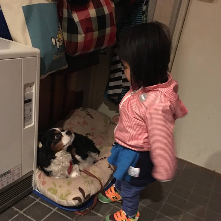 54b5397b 067b 4440 be9a a9d47e8de8bc 1522815761624