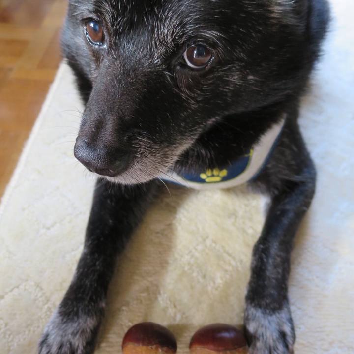 54b55b58 5211 4f44 ba95 e5cb62abe74d 1585556292713