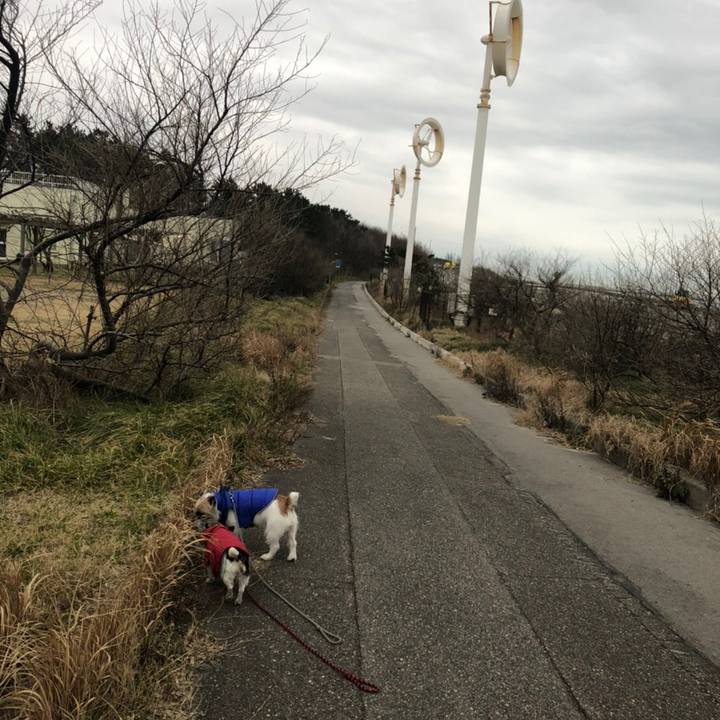 54b58646 3680 4786 a446 c54c0bf3ef41 1579735450061