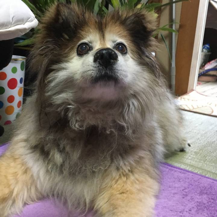 54b58bf3 57e4 44eb aa1a d46201b4c4d0 1629455825575