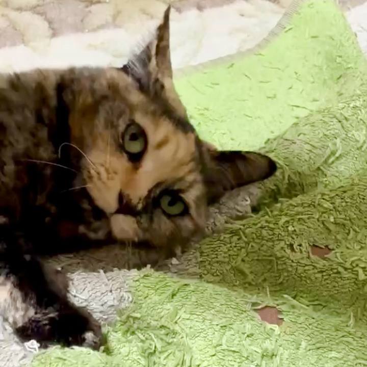 54b5921b 4d45 4098 8083 6e2c8f92fdae 1773783239595