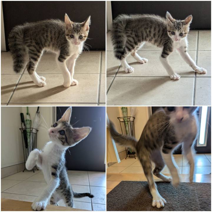 54b598f8 0e43 4713 854f bebfc5596985 1729474471880