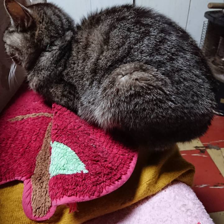 54b5be24 1c2a 453e 9fd2 711370df860c 1554032138840