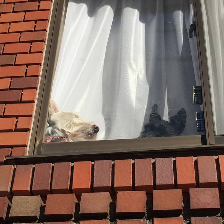 54b5c636 0ca5 41ba abd9 d2b258980651 1512803370065