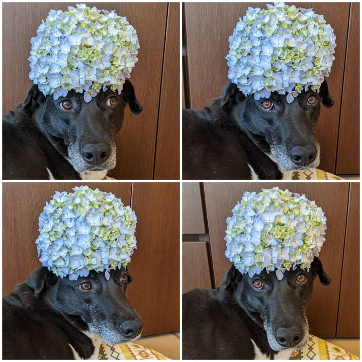 54b5c7e6 0f2b 43f6 aadb 4b0271e0f36c 1685665462110