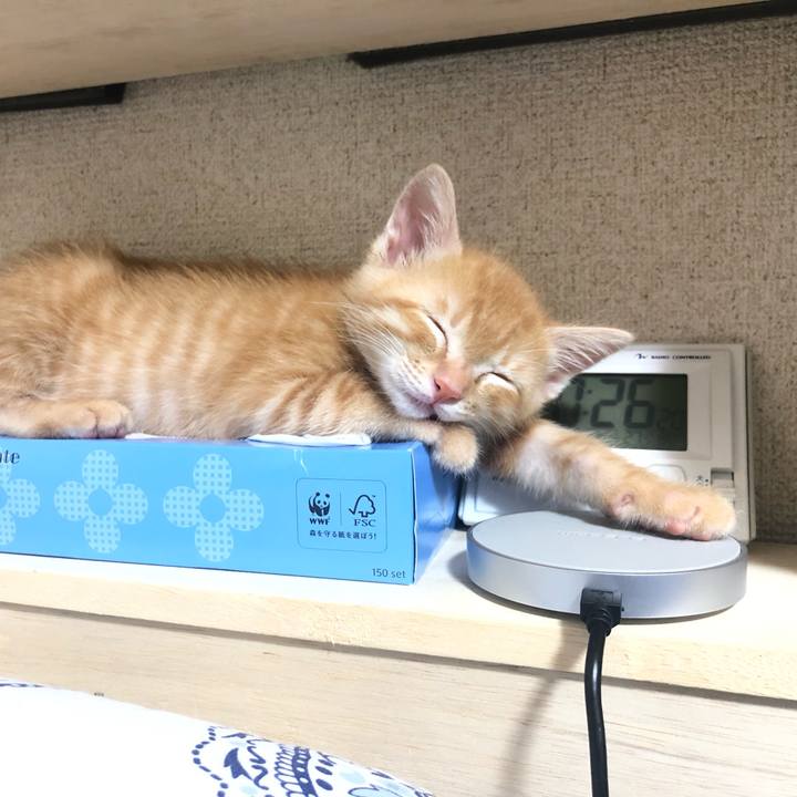 54b5e1fe c693 49fd 9590 1af68e32c860 1562204071260