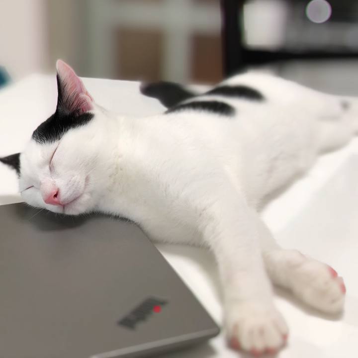 54b5eee2 3a93 40bc b994 de7340af5459 1532484525651