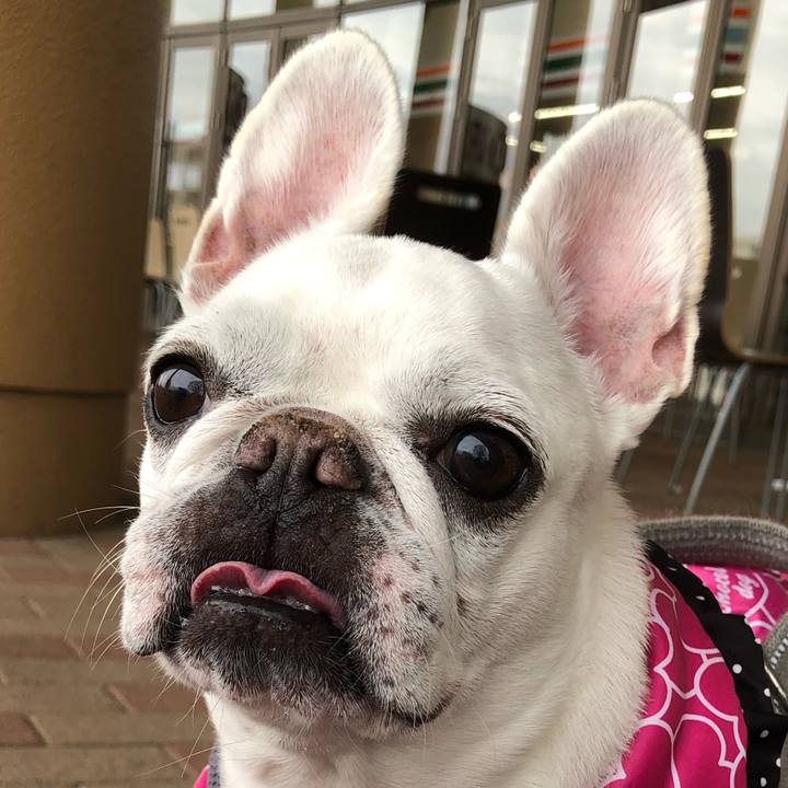 54b5fc98 1689 4c7c 82e1 cc856e953349 1671283207716