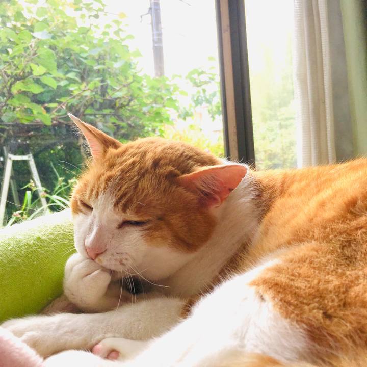 54b6178f 6ab5 4ac7 ae63 89461c7c05d1 1560566695338