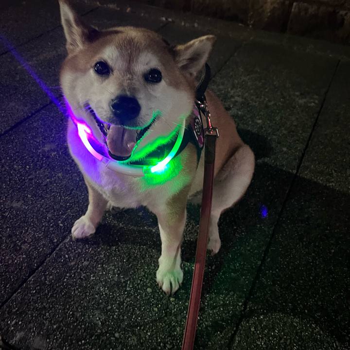 54b65439 fe35 47dc b890 d79bdf51fc53 1690628536100