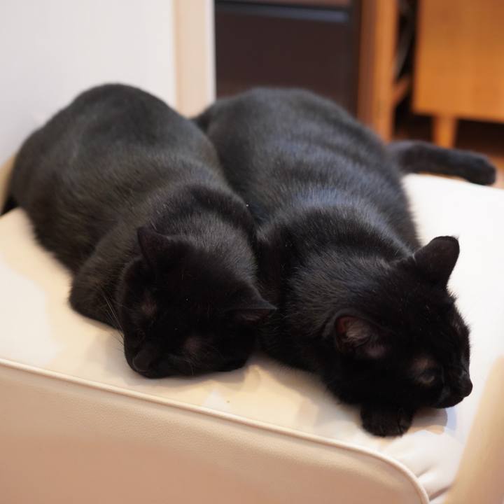 54b6c111 6757 4787 9127 f9af5bd1d153 1629035789675