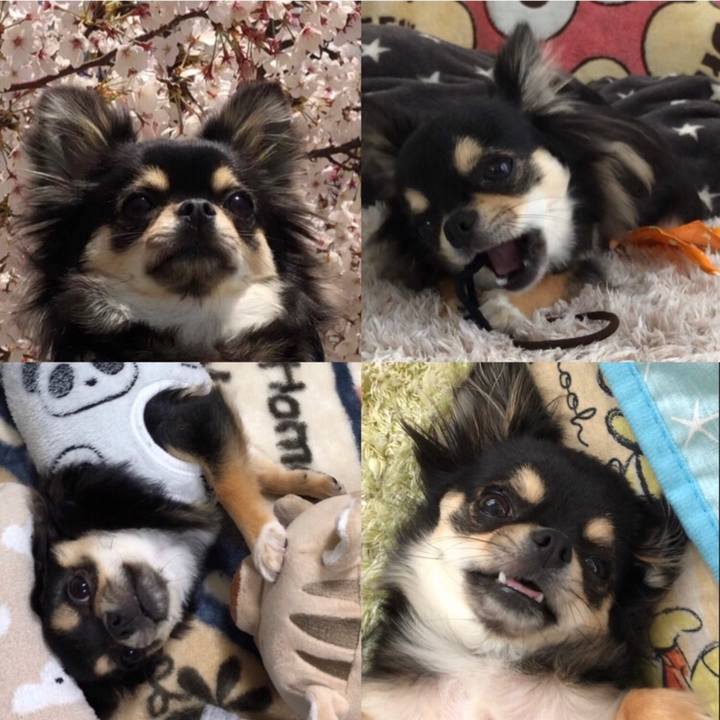 54b6c31f 0b1a 4f39 b145 134d3bde7dd9 1571211705249