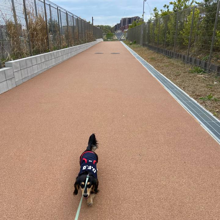 54b73127 e3f0 4ea7 94b2 1ca3d0e28768 1680751647000