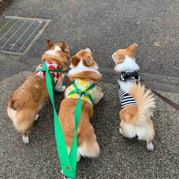 54b73b7b 86d0 4b95 8ae6 e8d9efc9b021 1577351959027