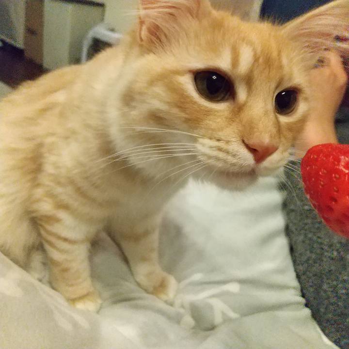 54b73b7d 0776 4b57 a58e 15d852b7b18e 1615549129207